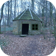 Escape Game South Wild Foresticon