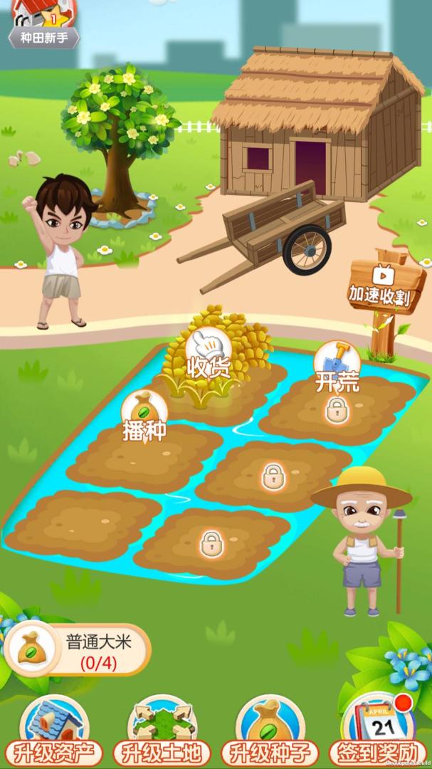 红包达人游戏截图