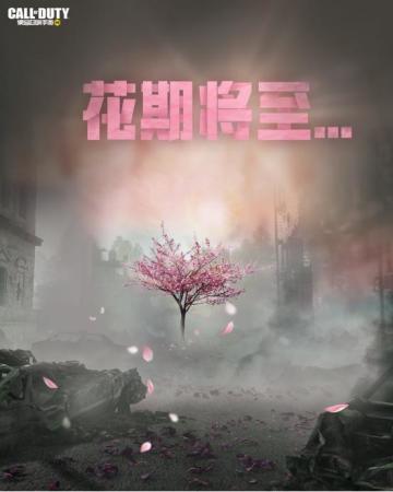 【使命情报站】花期将至，落英时节，新的征程即将开启