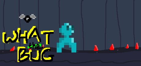 What the BUG 封面