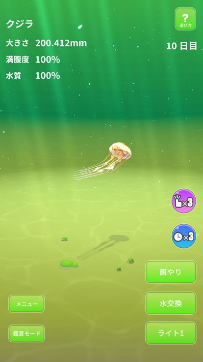 Jellyfish World游戏截图