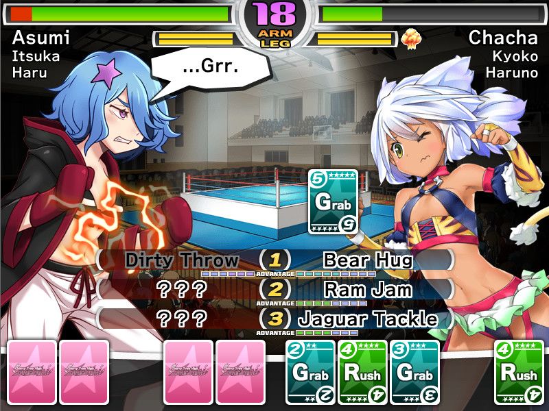Cherry Tree High Girls' Fight游戏截图