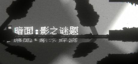 暗面:影之谜题 封面