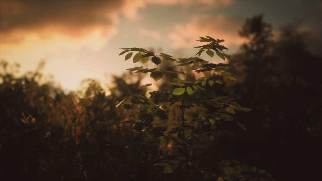 Castle Rock Beach, West Australia游戏截图