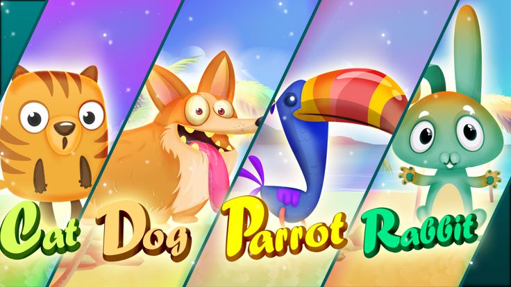 宠物梦想家的制造商游戏截图