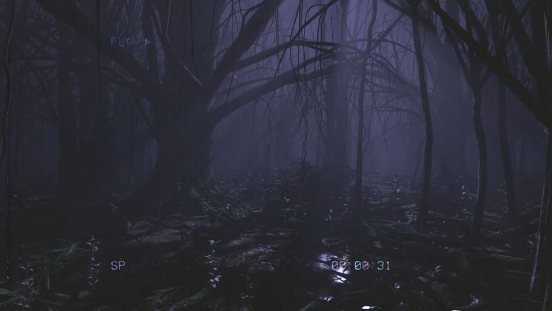 后室录像带游戏截图