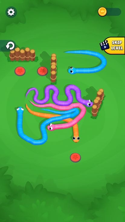 Snake Knot: Sort Puzzle Game游戏截图