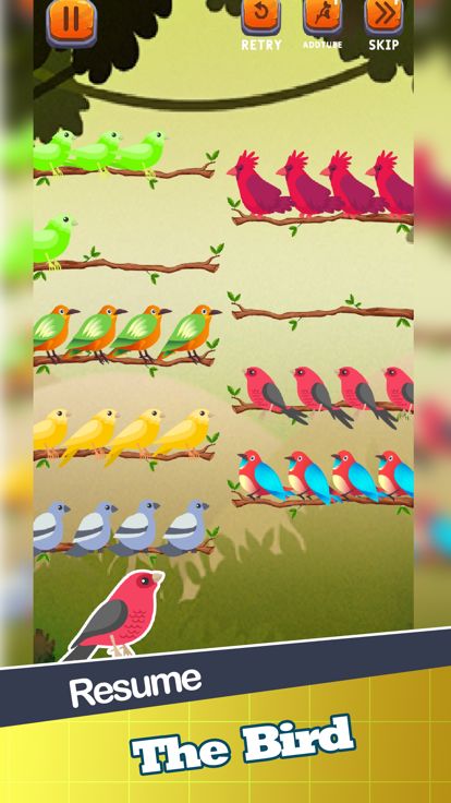 Color Puzzle Sort Bird Game游戏截图