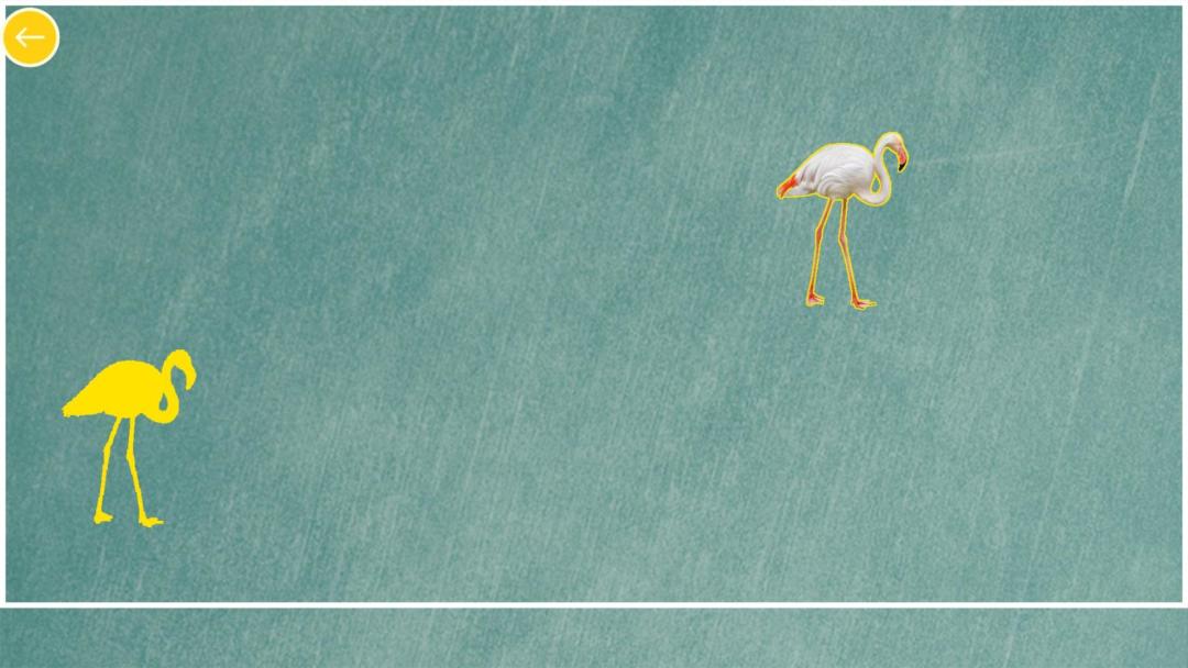 宝宝学动物和颜色HD游戏截图