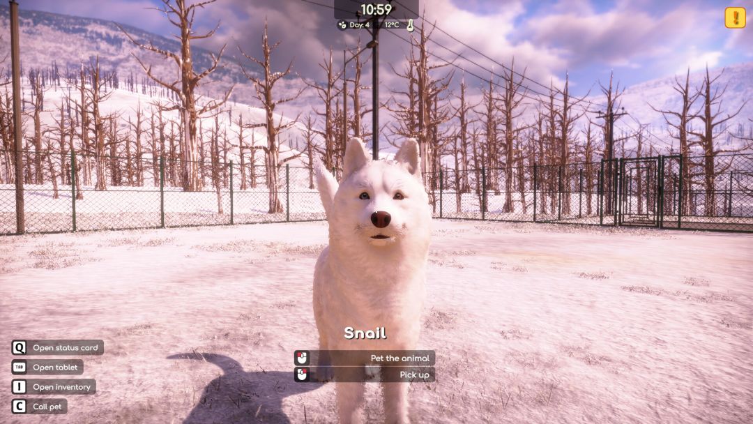 动物收容所 2游戏截图