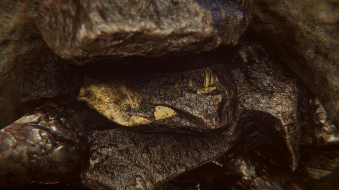 Dinosaur Fossil Hunter: Prologue游戏截图