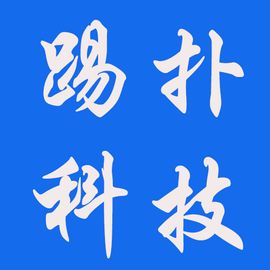 踢扑科技
