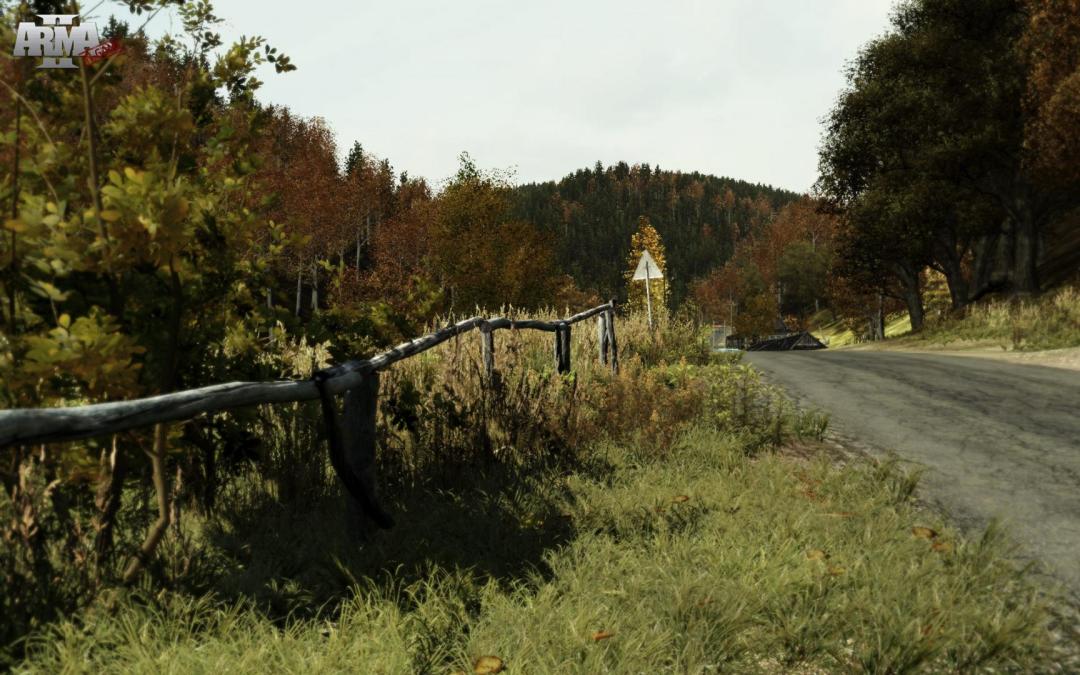 Arma 2游戏截图