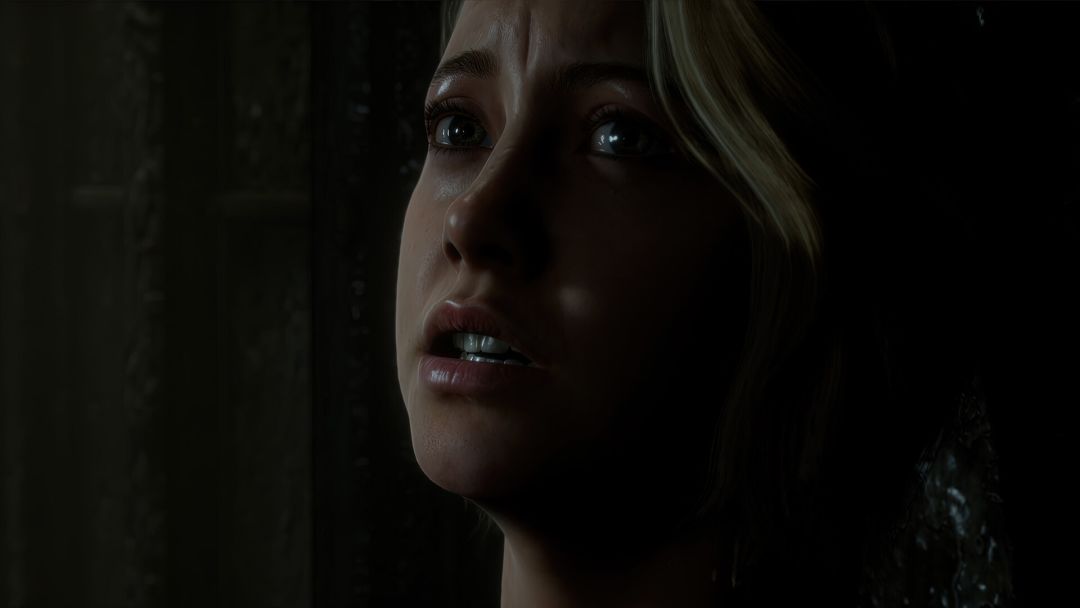 The Dark Pictures Anthology: Man of Medan游戏截图