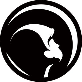 上海瀚海星穹网络科技有限公司