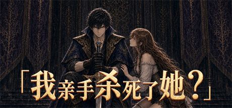 我亲手杀死了她? 封面