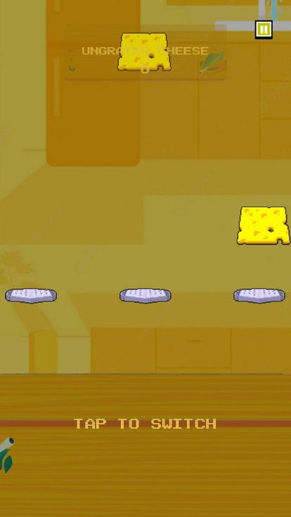 Cheese Grater Pro游戏截图