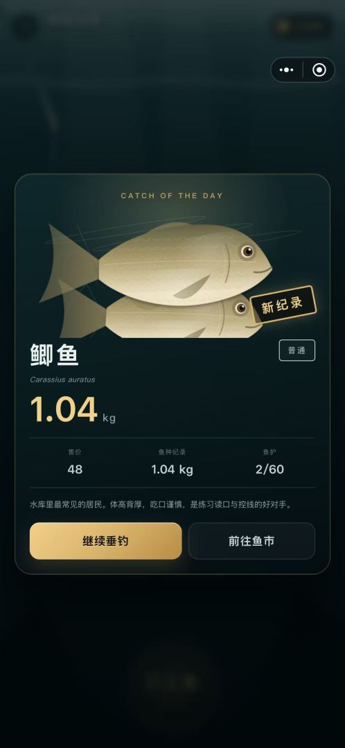 钓鱼高手游戏截图