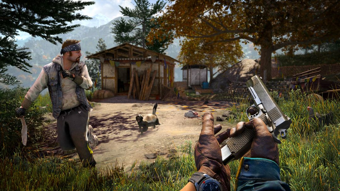 Far Cry® 4游戏截图