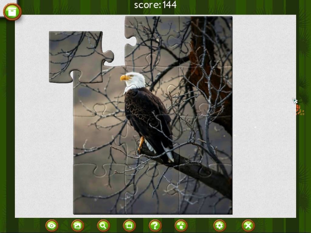 1001 Jigsaw. Wild Animals游戏截图