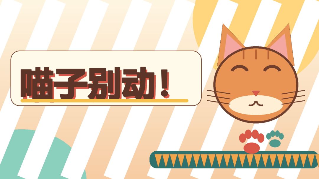 喵子别动！