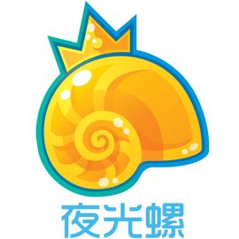 上海夜光螺信息技术有限公司