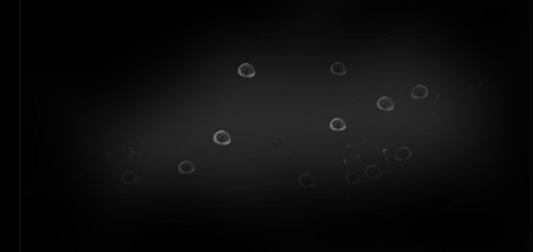 釜中游鱼游戏截图