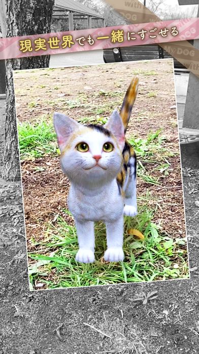 with My CAT - 猫とくらそう -游戏截图