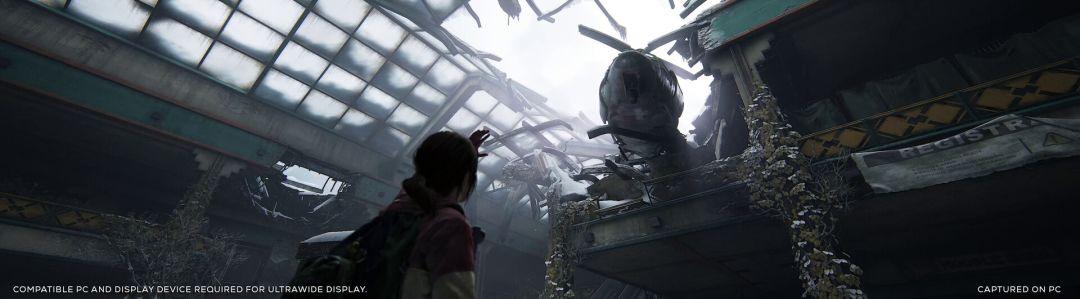 最后的生还者游戏截图