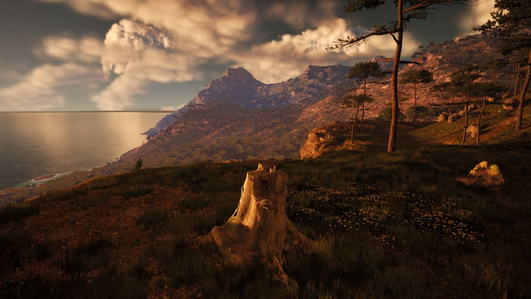 Stump Simulator 2游戏截图