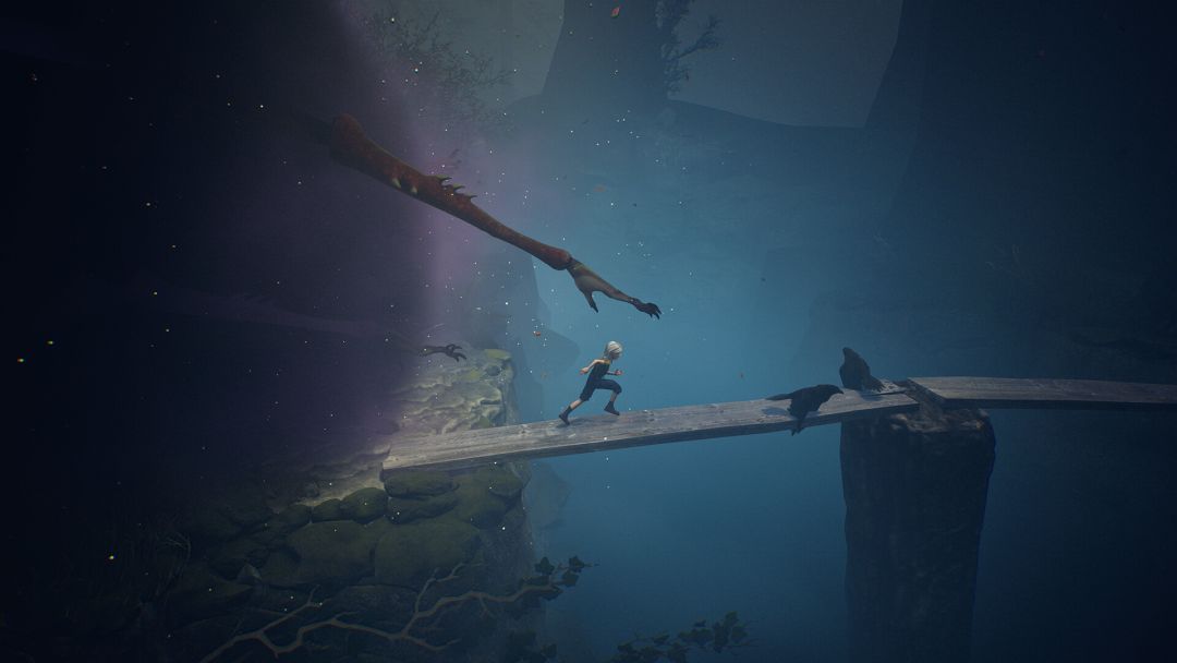 寂静之国的波斯菊游戏截图