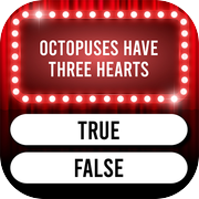 Quiz Iticon