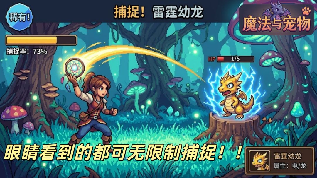 魔法与宠物游戏截图