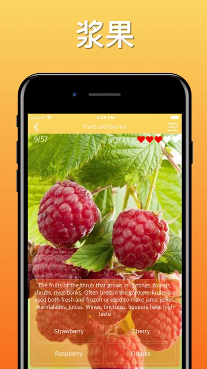 水果蔬菜浆果游戏截图