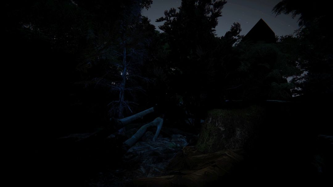 Blame Him游戏截图