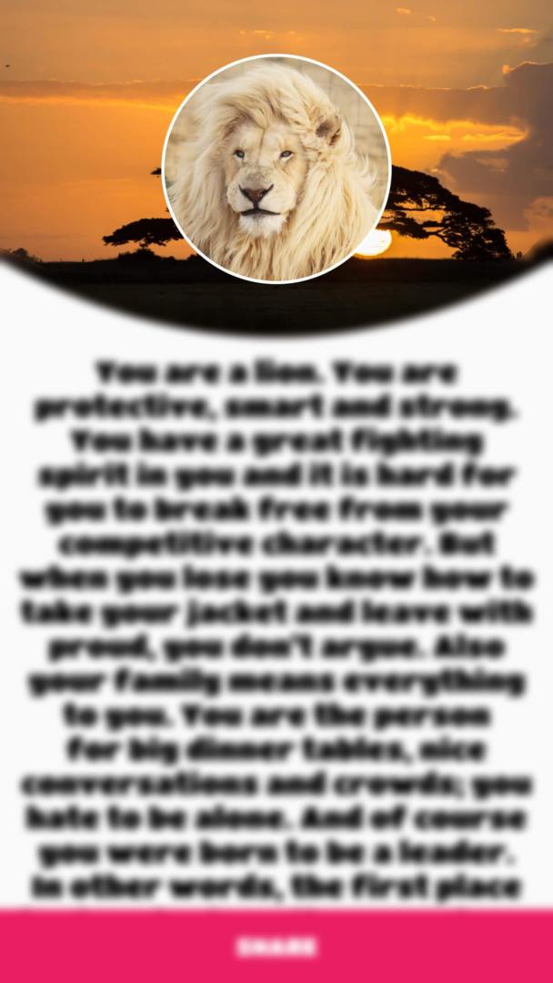 你是哪个动物？- 性格测试游戏截图