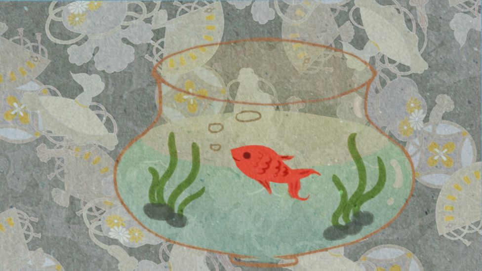 鱼悠悠养成计划游戏截图