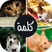 اربع صور كلمة واحدةicon