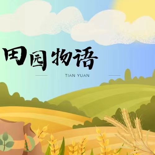 田园物语游戏截图