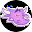 Slow Down, Bullicon