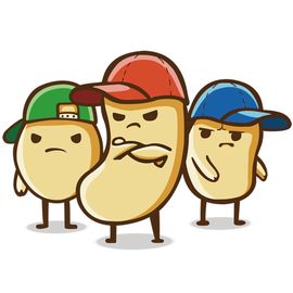 上海晴歌信息技术有限公司