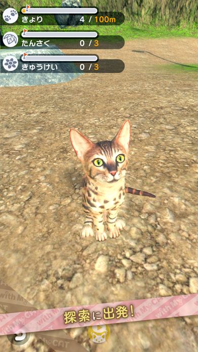 with My CAT - 猫とくらそう -游戏截图