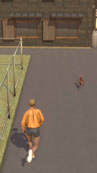 お魚くわえたドラ猫　〜晩御飯の焼き魚を盗んだ猫を捕まえろ游戏截图