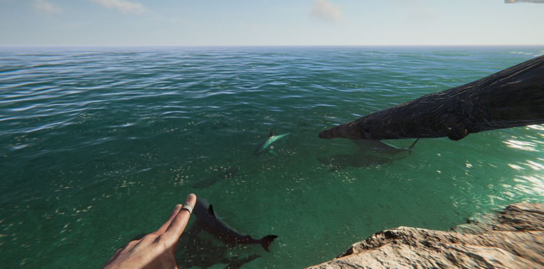 Project Castaway游戏截图