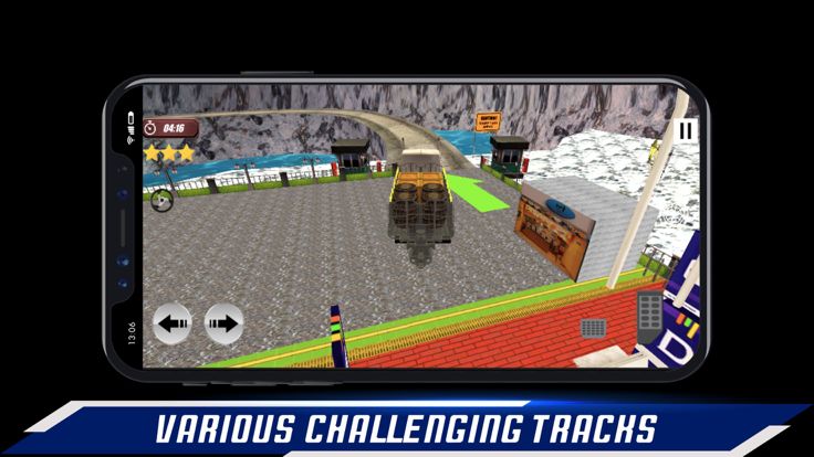 Truck Driver Pro游戏截图