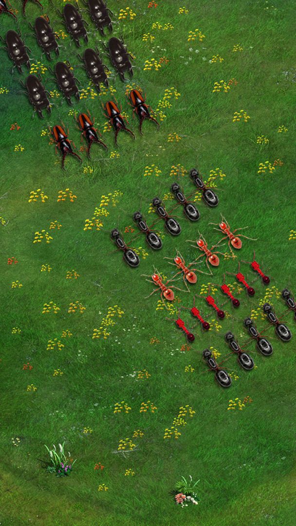 蚂蚁地下蚁国游戏截图