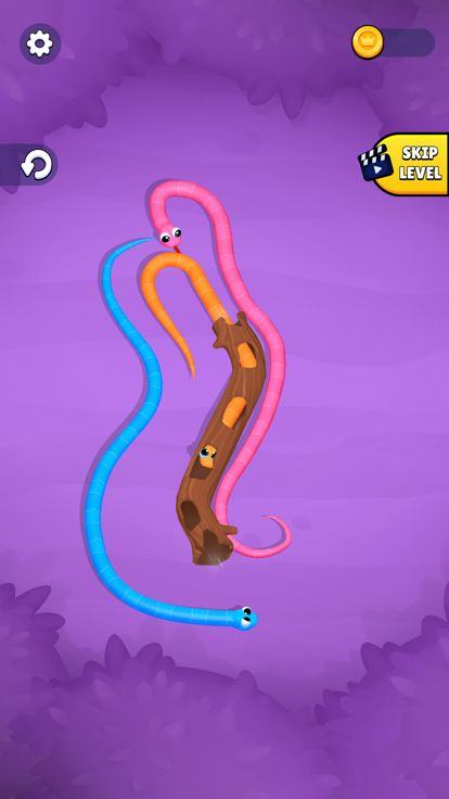 Snake Knot: Sort Puzzle Game游戏截图
