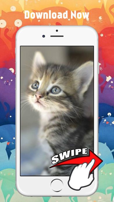 可爱的小猫猫壁纸和背景游戏截图