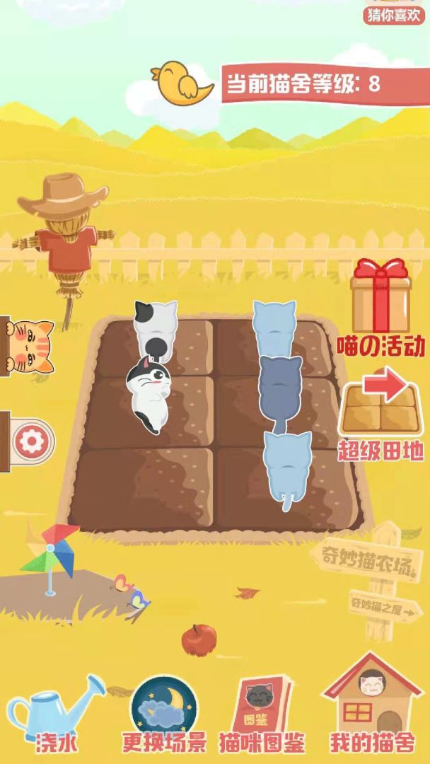 奇妙猫之家 游戏截图