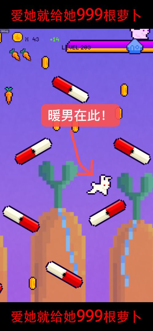 恩爱兔——999根萝卜游戏截图